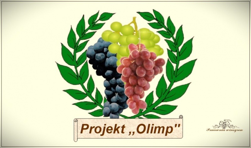 Plik:Logo Olimp.jpg