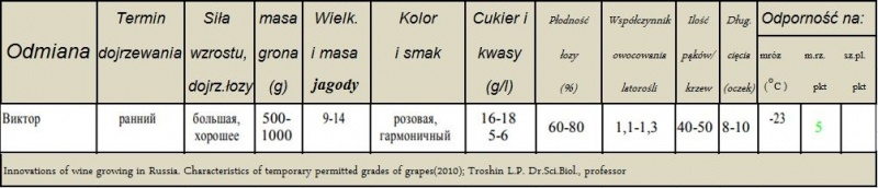 Plik:Wiktor-param.JPG