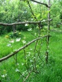 Miniatura wersji z 21:06, 20 maj 2012