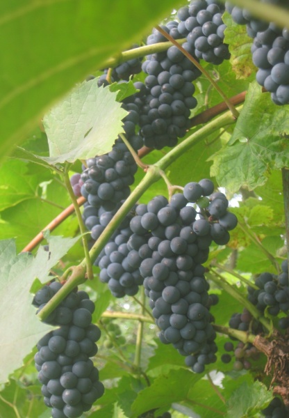 Plik:03092023 LM.JPG