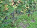 Miniatura wersji z 22:08, 30 sie 2010