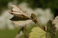 Miniatura wersji z 21:36, 18 maj 2012