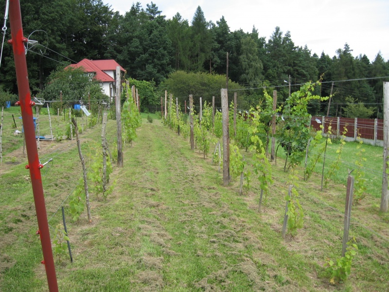 Plik:2011-2012 379.jpg