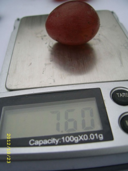 Plik:9dca5b092fb75e01med.jpg