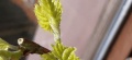 Miniatura wersji z 11:41, 2 mar 2021