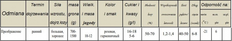 Plik:Przeobrażenie-parametry.JPG