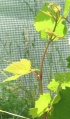 Miniatura wersji z 16:43, 20 mar 2022