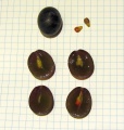 Miniatura wersji z 22:42, 12 sty 2015