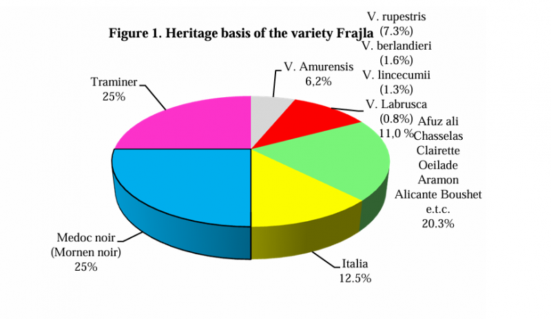 Plik:Frajla parent..png