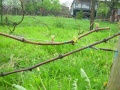 Miniatura wersji z 19:48, 9 maj 2010
