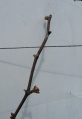 Miniatura wersji z 22:13, 19 maj 2012