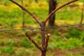 Miniatura wersji z 10:15, 28 lut 2010