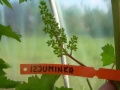 Miniatura wersji z 08:19, 13 mar 2016