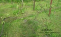 Miniatura wersji z 13:49, 9 lut 2016